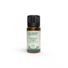 Salvia olio essenziale