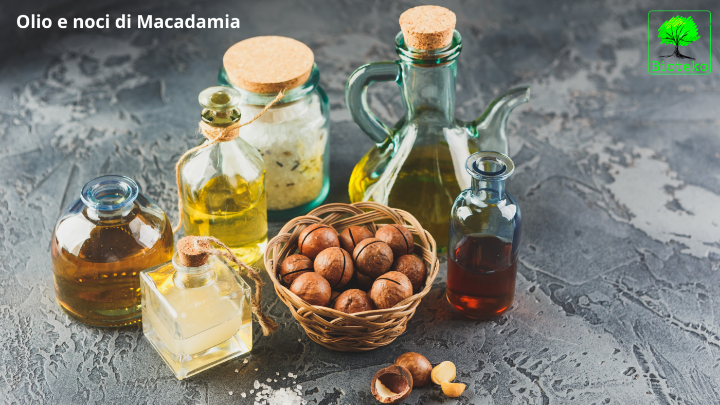 olio di macadamia antiossidante bioteko officina umbra