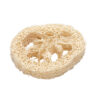 Luffa Piccola